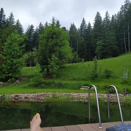 Forsthaus Trabronn | Sauna | Eingezaeunt | Grillplatz Сasa de vacaciones Forbach