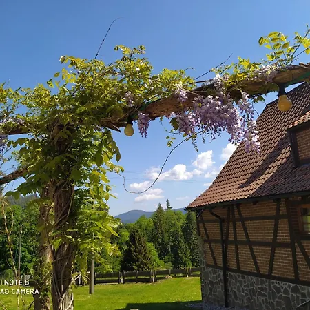 Сasa de vacaciones Forsthaus Trabronn | Sauna | Eingezaeunt | Grillplatz *