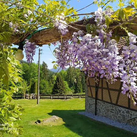 Forsthaus Trabronn | Sauna | Eingezaeunt | Grillplatz Сasa de vacaciones *