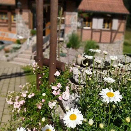 Сasa de vacaciones Forsthaus Trabronn | Sauna | Eingezaeunt | Grillplatz